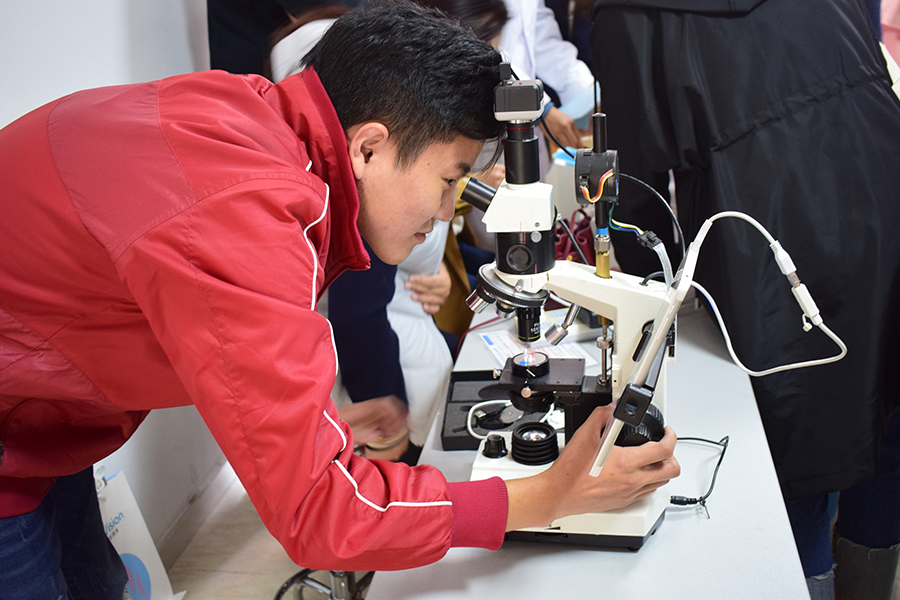 Mansion88明升·(中国集团)官方网站