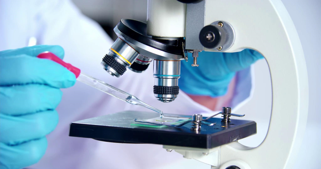 Mansion88明升·(中国集团)官方网站